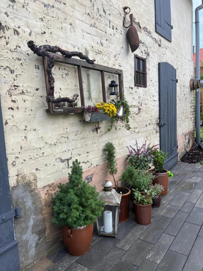 Wanderer Unterkunft am Hexentanzplatz Thale Exterior foto